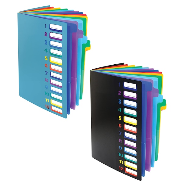 Expanding File Folder W/12 Colored Tabs, 24 Clear Pks, Proj File Organizer, Numbered Indx Tabs, 2PK